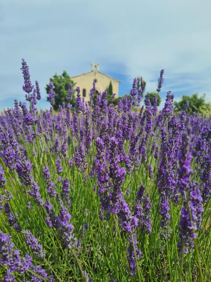 La Parenthese Villa Entrevennes ภายนอก รูปภาพ
